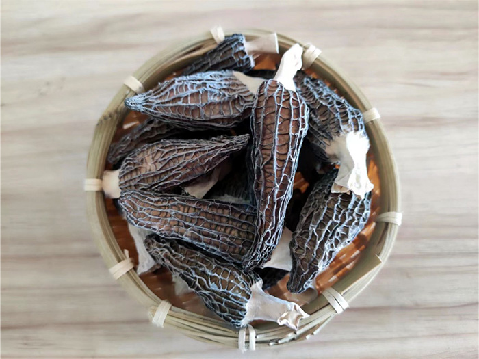 羊肚菌干貨